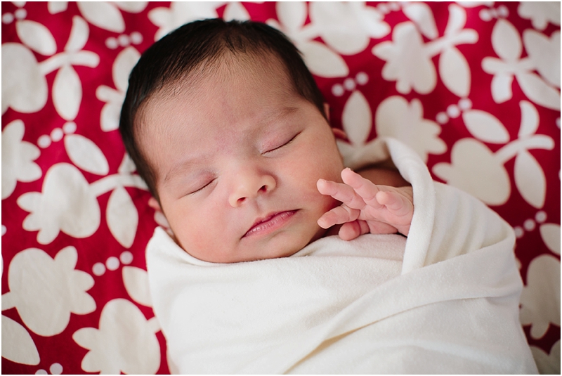 los angeles newborn photography, la newborn photographer, los angeles at home newborn photography
